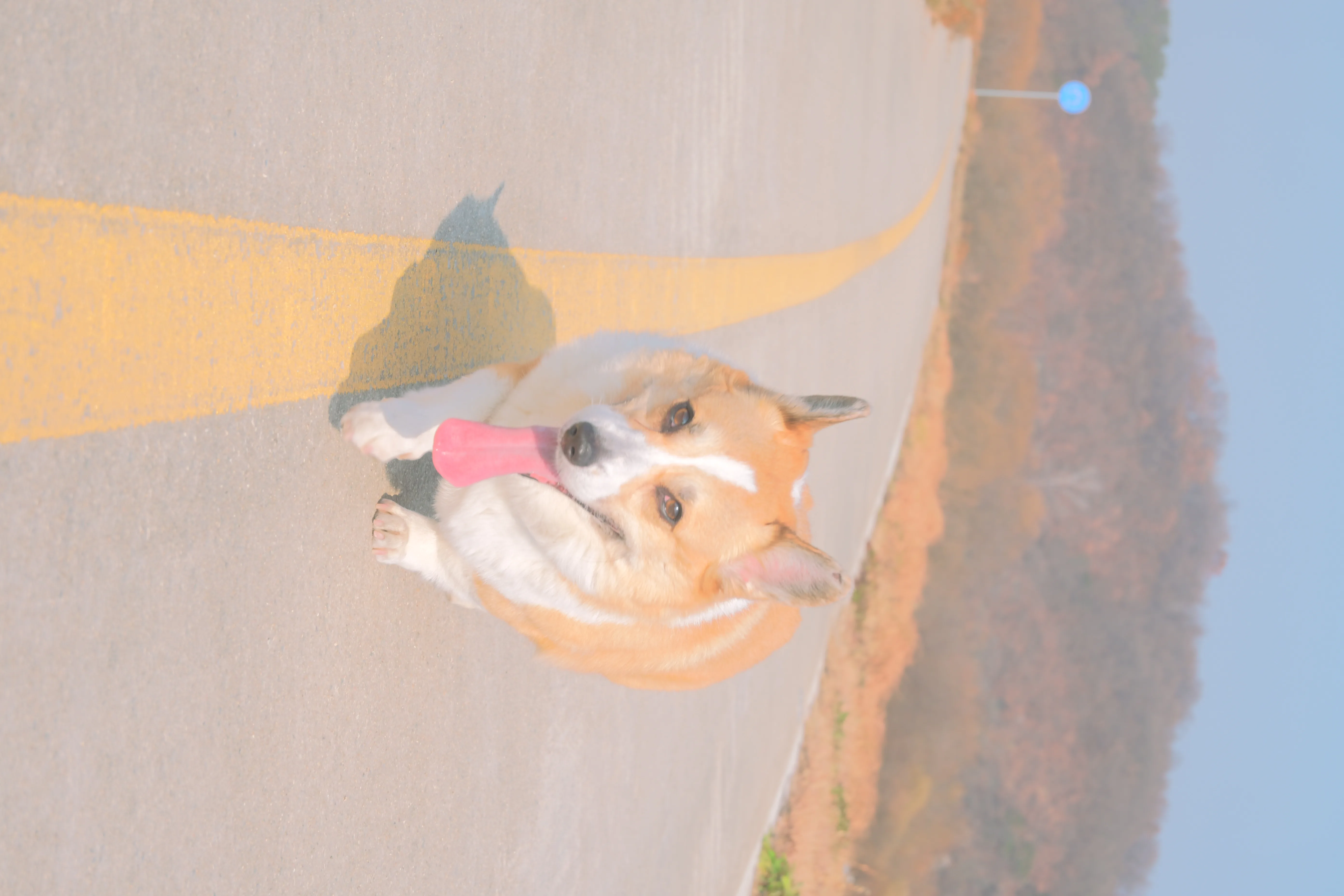 우리집 주인님의 하루1