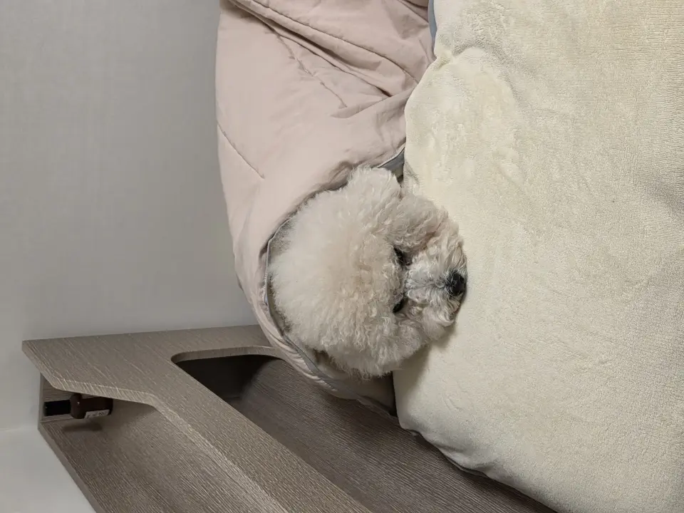 귀여운 동물 친구 1